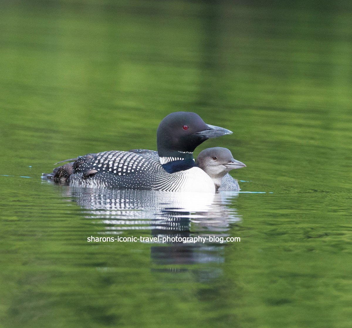 Fish Creek Ponds- 3 in&nbsp;One