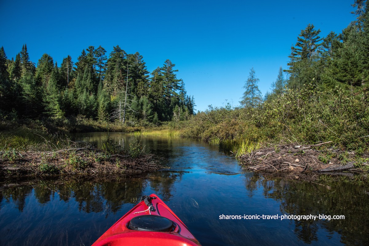 Paddling Jones Pond to Osgood Pond Via Jones Pond&nbsp;Outlet