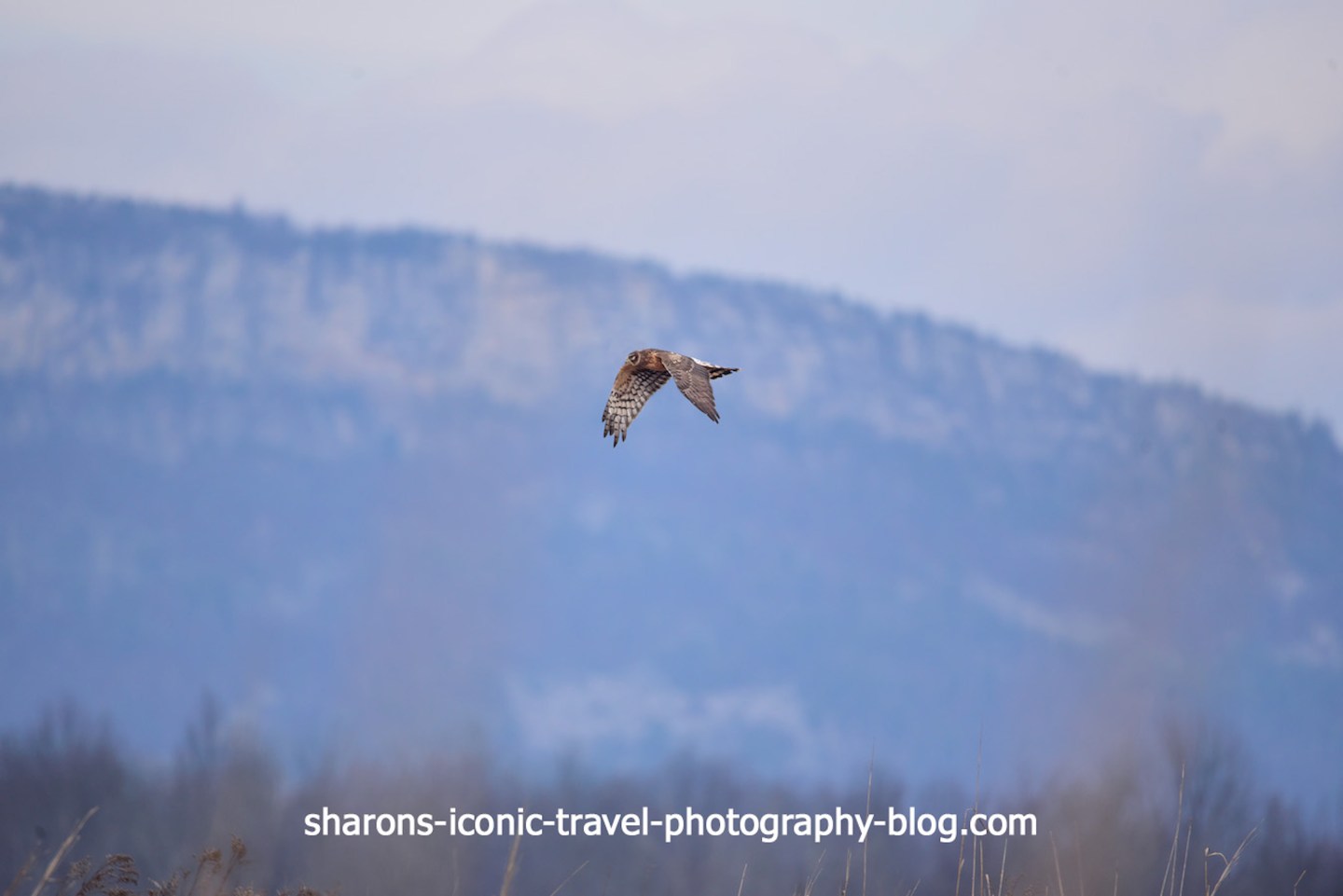 The Last Days of Autumn – Sharon's Iconic Travel Photography Blog