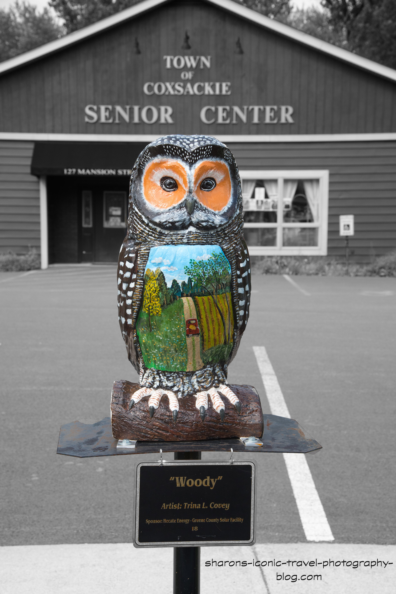 dsc_2280-woody-owl_blog.jpg?w=684