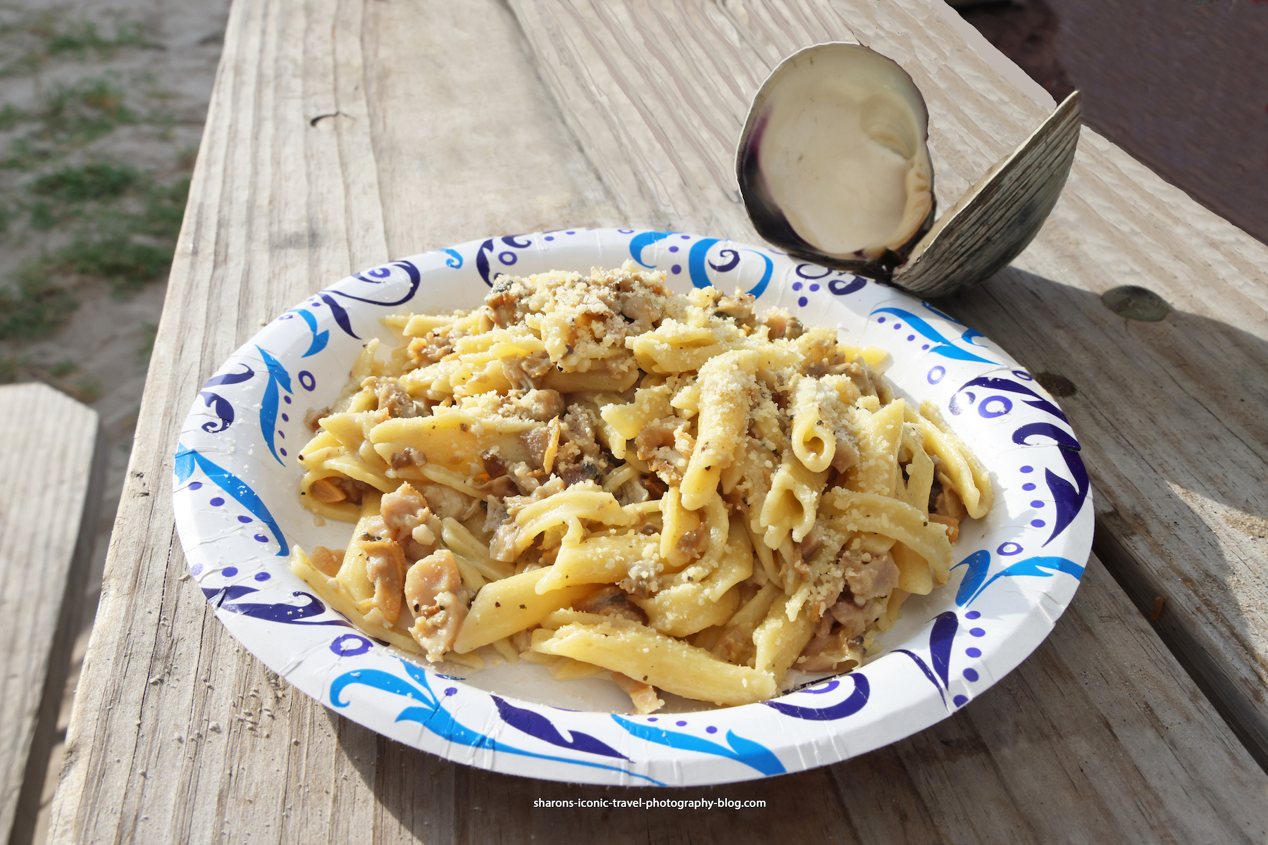 Clam Pasta with White Sauce – Sharon's Iconic Travel Photography Blog