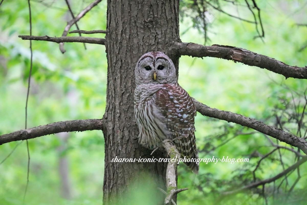 Nothing to See&nbsp;Here