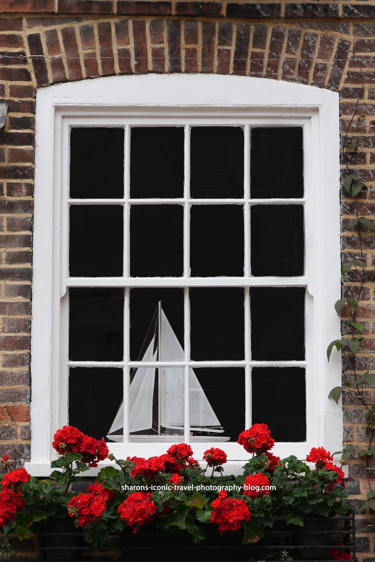 Windows of Rye