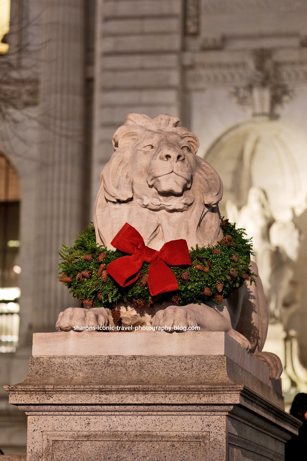 Merry  Christmas Lion