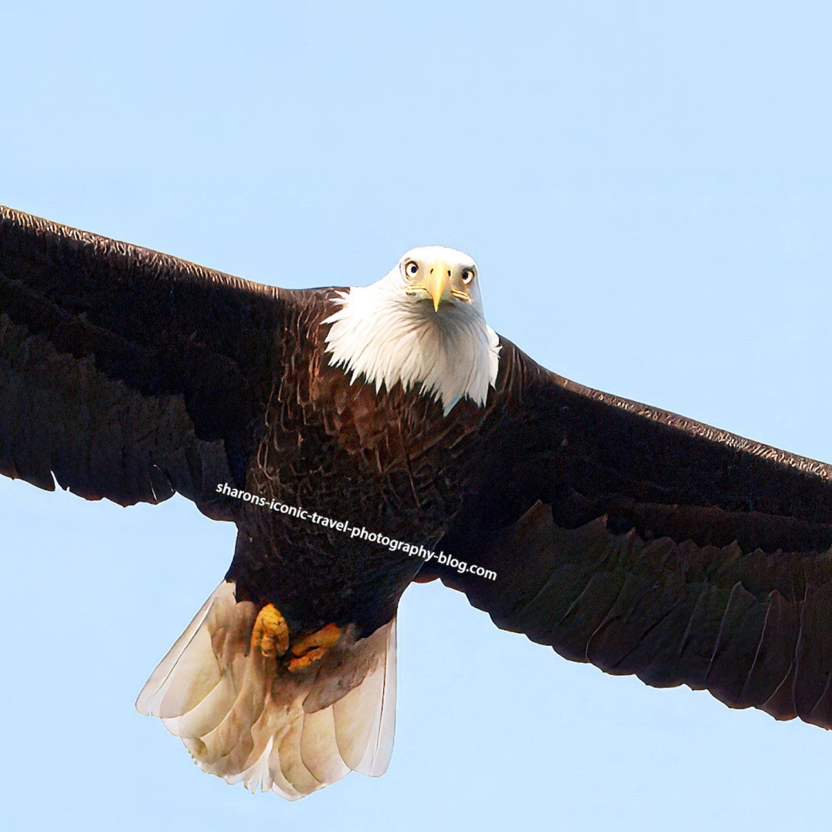 I’m Checking You&nbsp;Out!