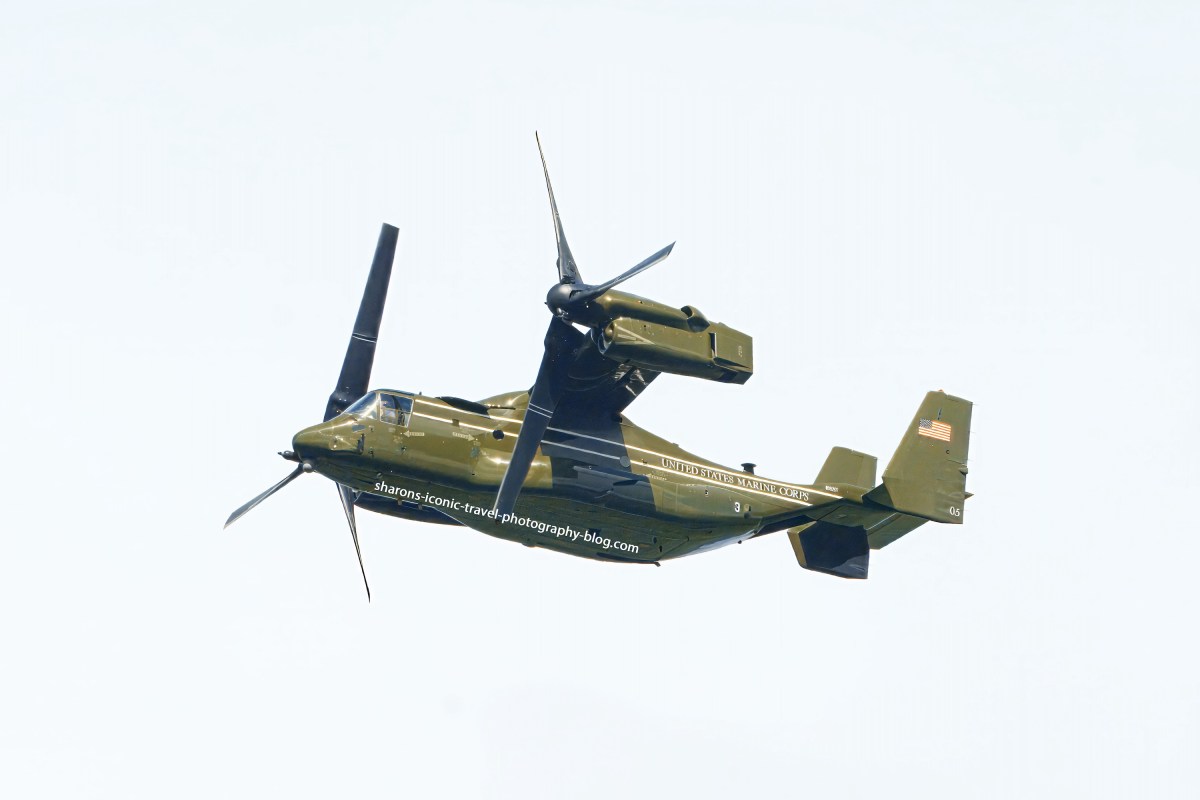 Osprey of Another&nbsp;Kind?