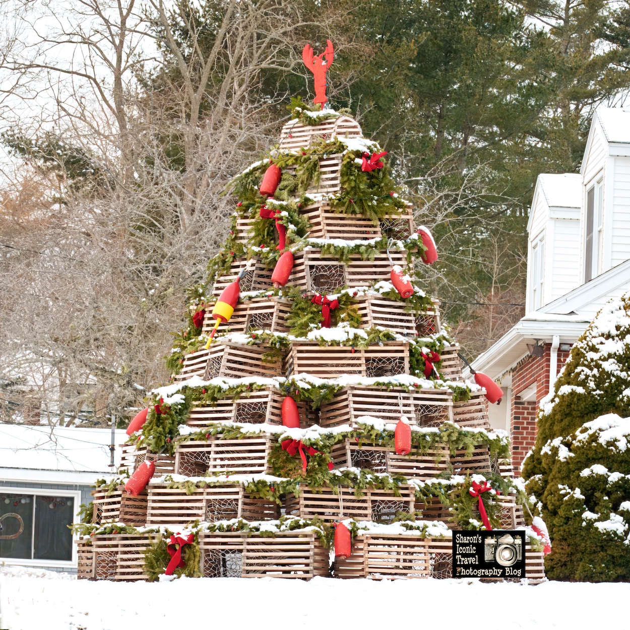 Wooden Lobster Trap Trees – Sharon's Iconic Travel Photography Blog